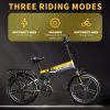 ZHENGBU HM20 Folding 20 Inch 750W Power Portable Electric Bicycle